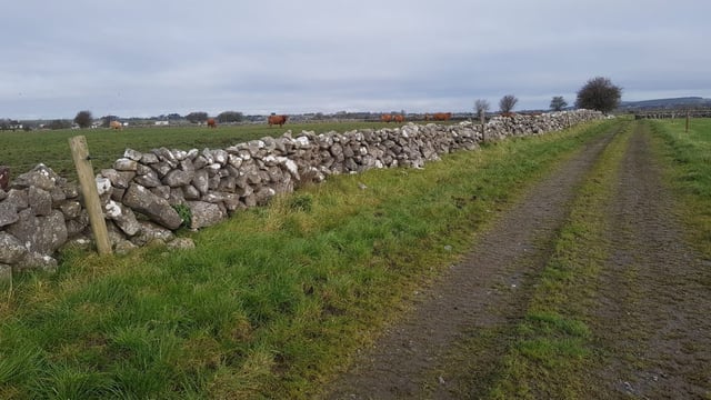NAP 'tightening farmers' belts further' - sheep seminar