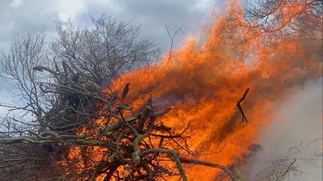 Call for 'common sense approach' to burning green waste