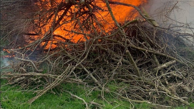 Department rules out further green waste burning extension