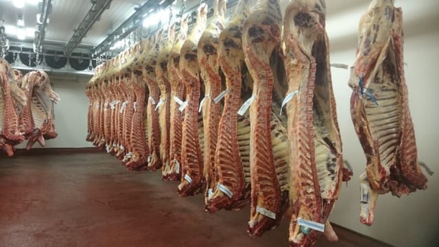 Market conditions 'favourable' in key beef export markets