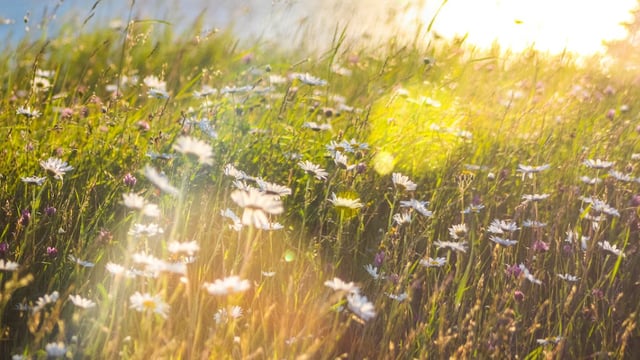 Minister: 'Building resilience to impact of climate change is crucial'