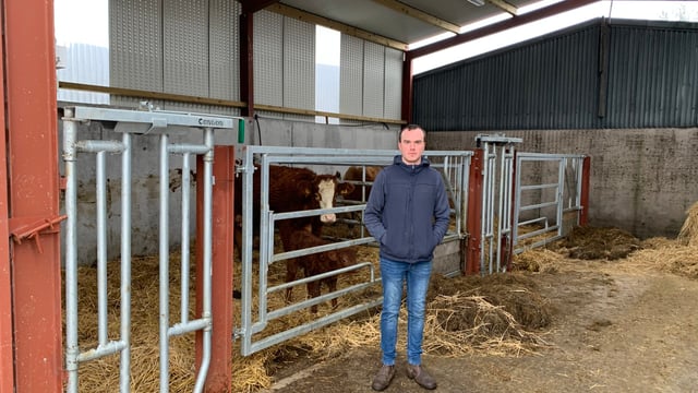 Beef focus: Young Monaghan farmer's model suckler setup