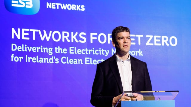 ESB Networks to invest €10bn in 'net zero' ambition