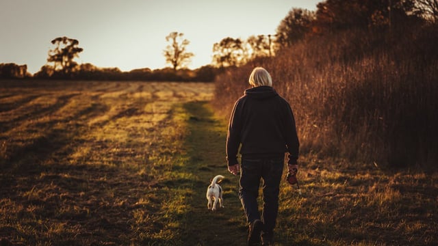 Risk of fatal accidents greater for older farmers - HSA