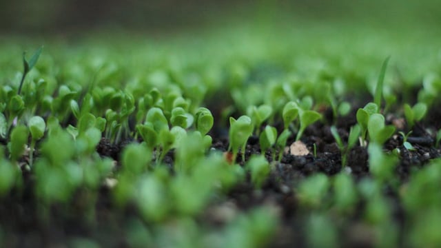 €1.7m for soil and agri-digital research projects