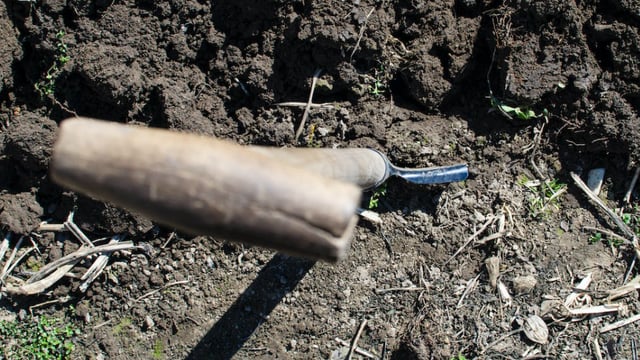 Young farmers need new 'tax' incentives - Moynihan