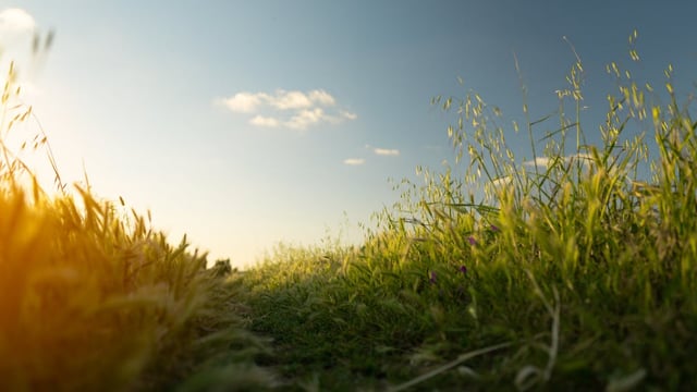 Thomas Duffy: For those who don't accept climate change