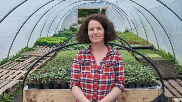 Celebrating St. Brigid and NI farmers - TV to watch this weekend