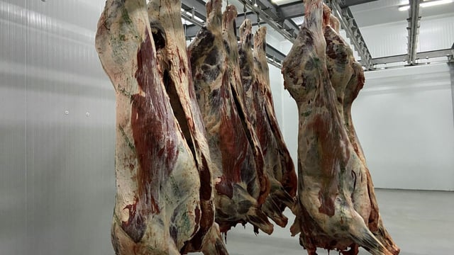 Bord Bia: Ireland can respond to uplift in demand for beef in China