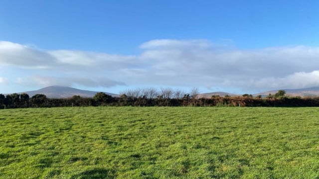 5.4ac roadside holding in Enniscorthy for sale