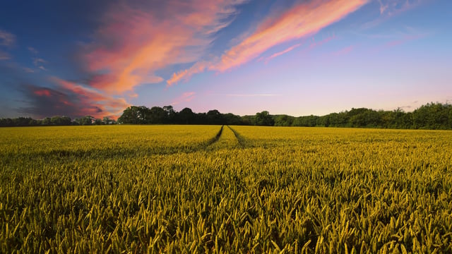 Farm org meets with DAFM on tillage and water quality