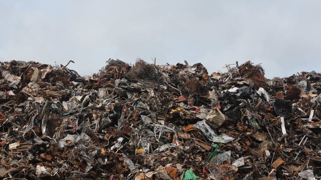Search on for new food waste reduction ideas