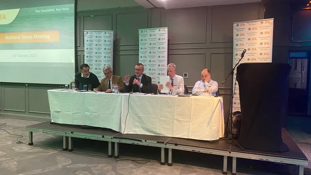 Irish sheepmeat access to the US a 'work in progress'