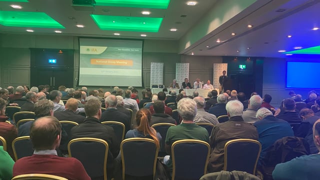 IFA National Sheep meeting: Factors impacting price and demand