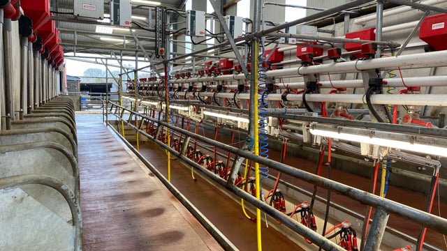Buildings Focus: 18-unit parlour and 104 cubicles in Sligo