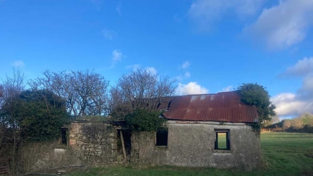37ac roadside holding in Wicklow up for auction