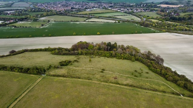 Some farmers 'worried sick' about RZLT - Kerrane