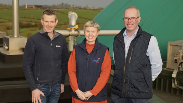 ABP Linden Foods in new green energy agreement with NI businesses