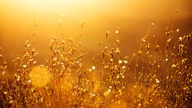 Report finds 2022 the fifth warmest year ever recorded