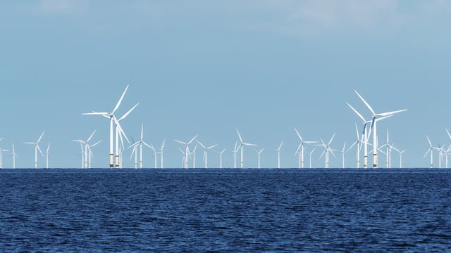 Offshore energy potential can turn Ireland into a net exporter - TD