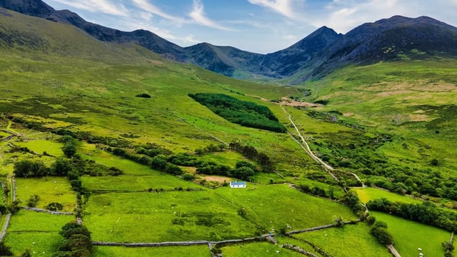 Farm close to Ireland's highest mountain sold at auction