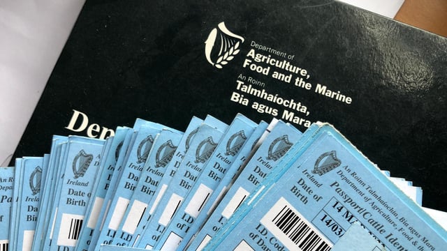 DAFM to consider ending requirement for 'blue cards'