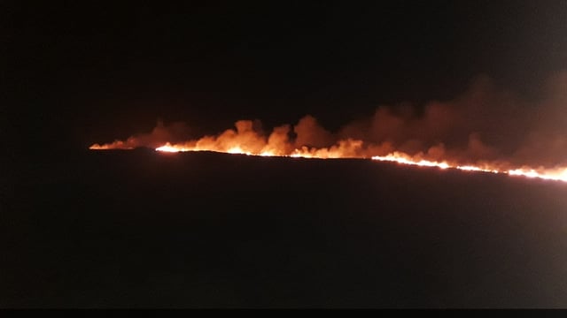 Burning and hedge cutting ban now in place - minister