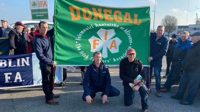 Video: 'Protest may not be enough' - IFA Sheep chair