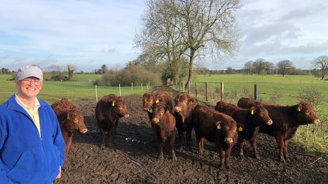 Beef Focus: A move from dairy to Dexter on 20ac Westmeath farm