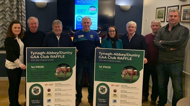 Tynagh-Abbey/Duniry GAA club raffles Roan Belgian Blue X