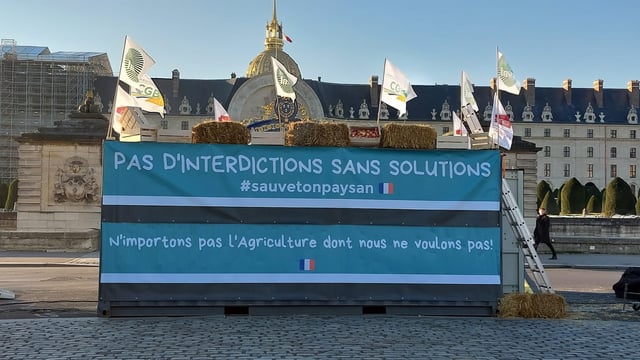 French sugar beet farmers to receive aid following protest
