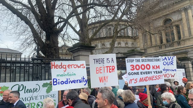 Minister under pressure as hedgerow protesters demand change