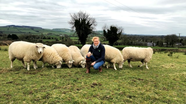 Roscommon council changes crest sheep as GAA on backfoot