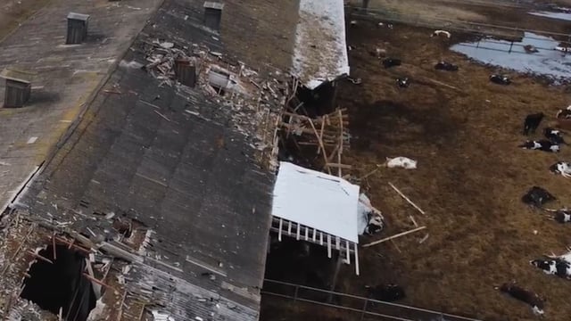 Graphic video: 'Ukrainian farmers cannot risk their lives on minefields'