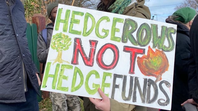 Video: Save our Forests Alliance protests at Coillte HQ
