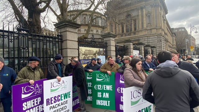 Crowds turn out as sheep protest gets underway outside Dáil