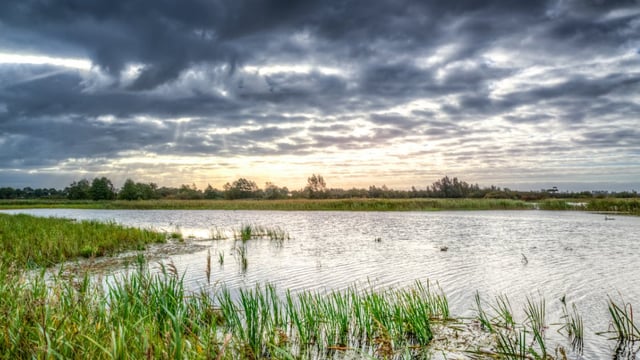 Cyclones could cost New Zealand farmers up to NZ$422m