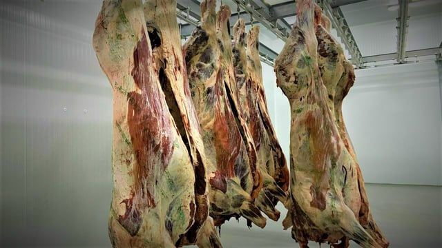 Ireland imported 54,000t of beef in 2022 - up by 56%