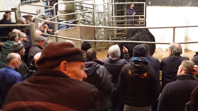 New manager sought for mart in Donegal