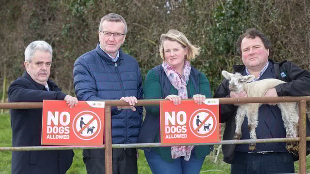 New dog control regulations need proper enforcement - Comiskey