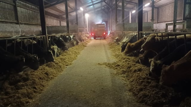 Factory quotes: Beef trade steady despite price pull at some sites