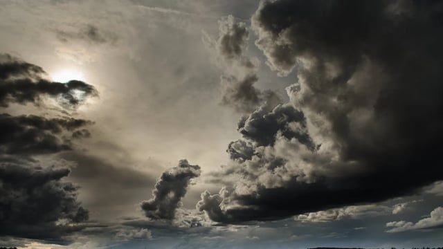 New Zealand farmers suffer livestock losses in cyclone