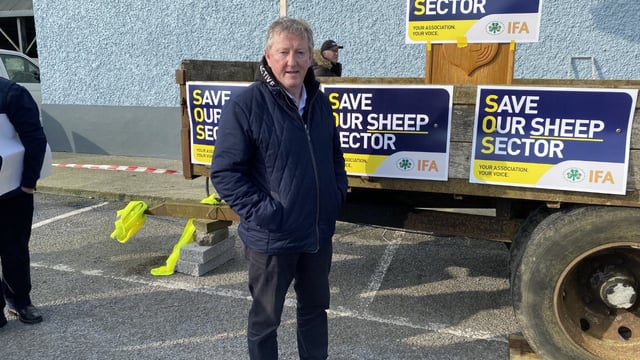 'Sheep farming not viable is the message to government' - TD