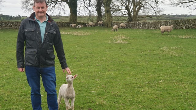 Galway organic farmer lauds the merits of sustainable wool
