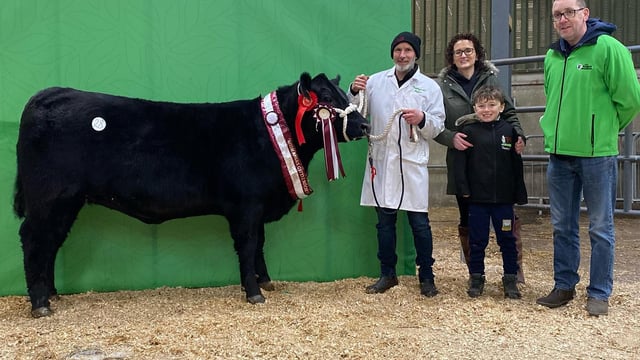 Average price of €3,550 for Angus bulls at Carrick sale