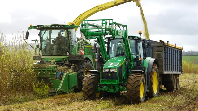 Watch: Harvesting willow for heat at Gurteen College