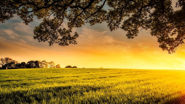 Future of $150bn NZ farm assets depends on succession - report