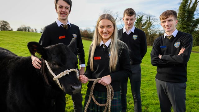 Galway students win Angus Schools Competition
