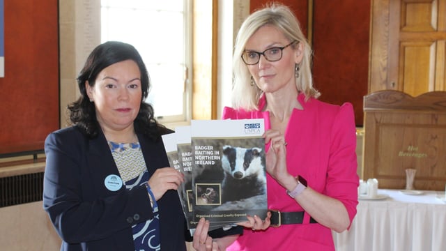 USPCA calls for action on badger baiting