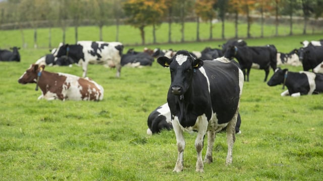 March Animal Health Series kicks off tonight